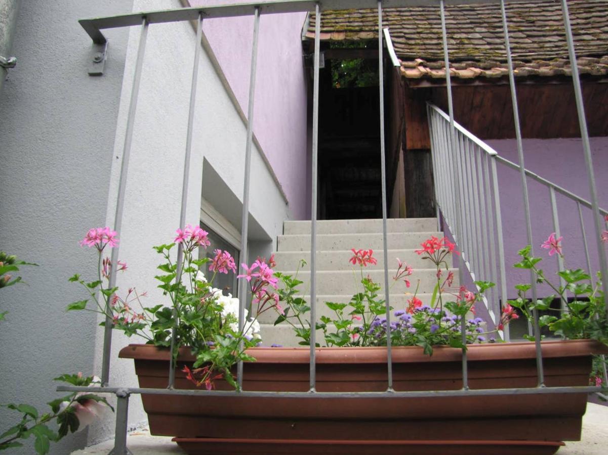 Apartamento Les Jardins De Lo'Re'An Holtzwihr Exterior foto