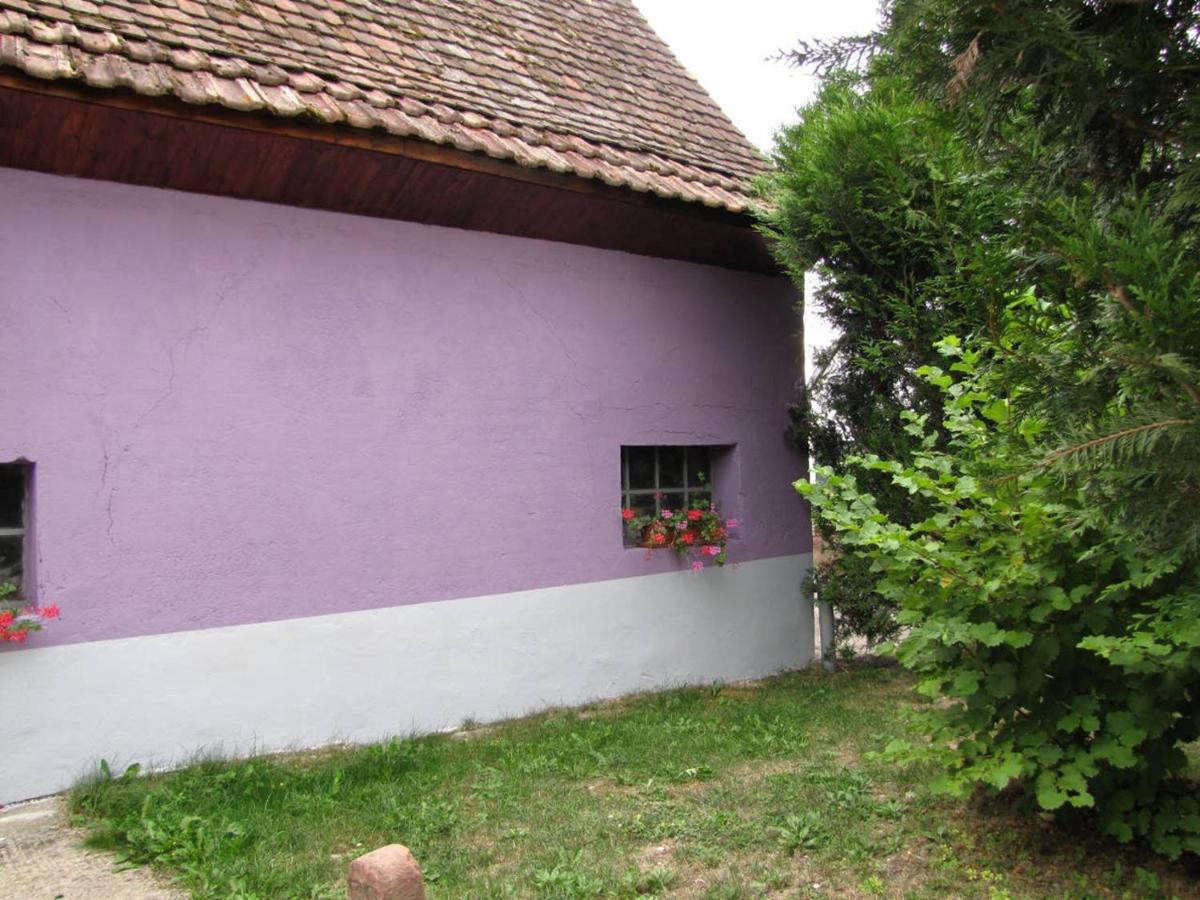 Apartamento Les Jardins De Lo'Re'An Holtzwihr Exterior foto