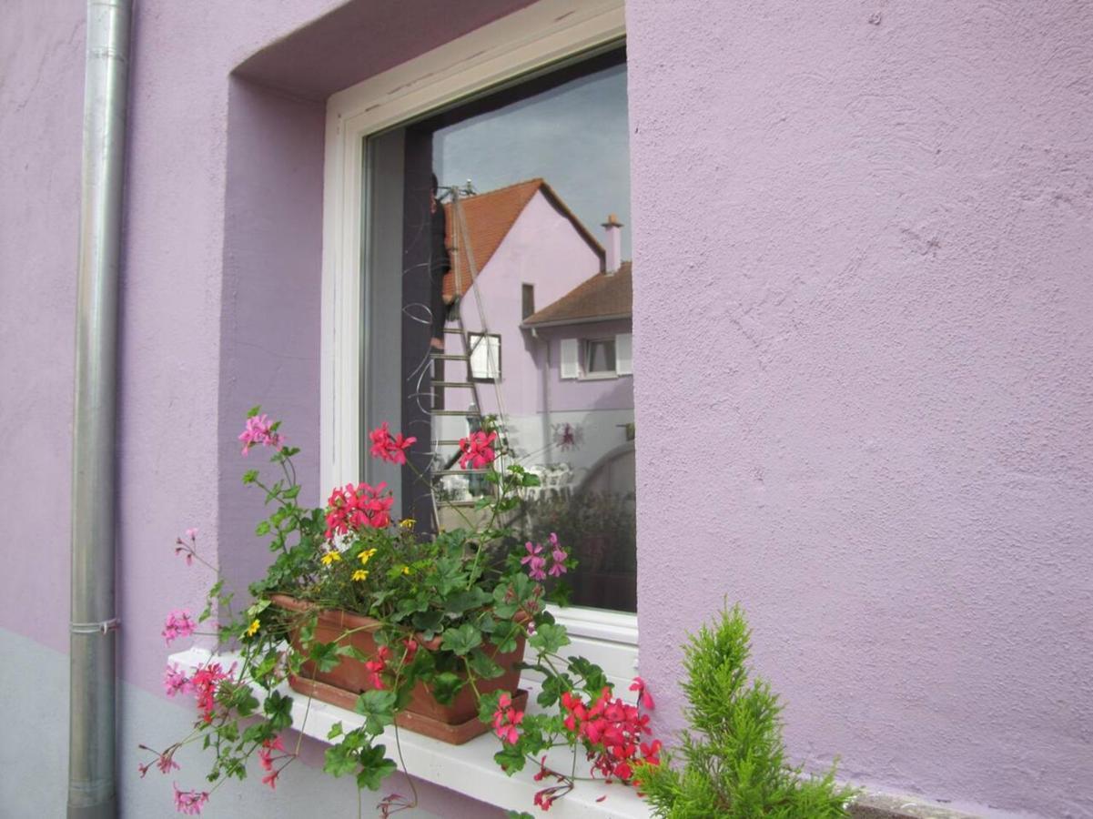 Apartamento Les Jardins De Lo'Re'An Holtzwihr Exterior foto