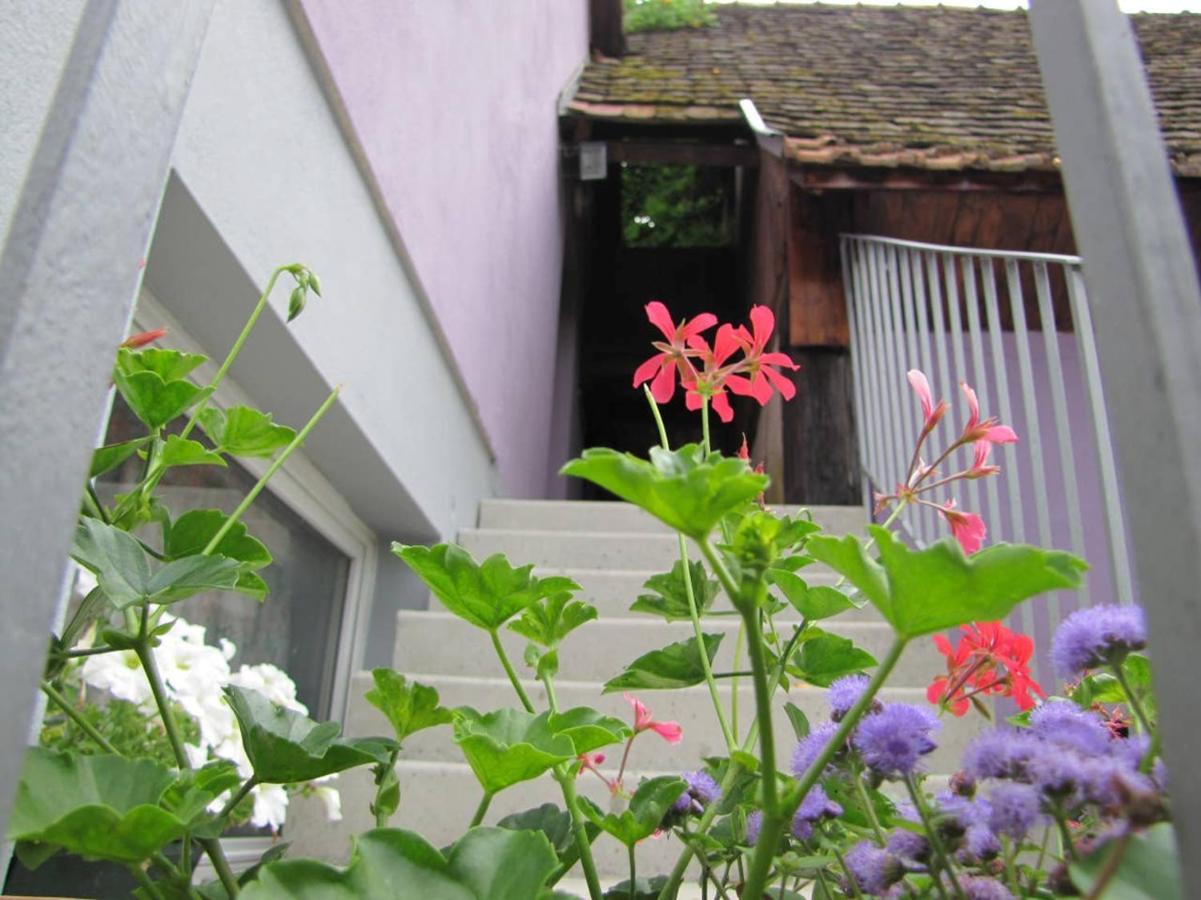 Apartamento Les Jardins De Lo'Re'An Holtzwihr Exterior foto