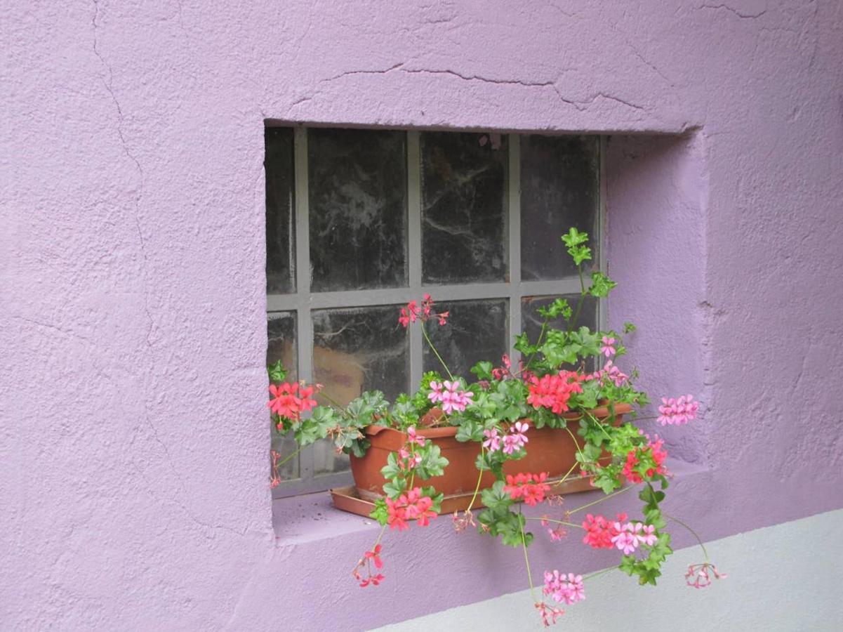 Apartamento Les Jardins De Lo'Re'An Holtzwihr Exterior foto