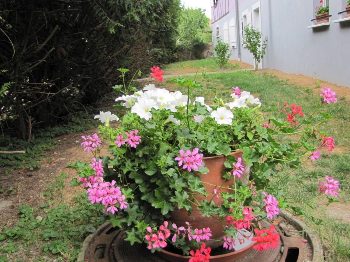 Apartamento Les Jardins De Lo'Re'An Holtzwihr Exterior foto